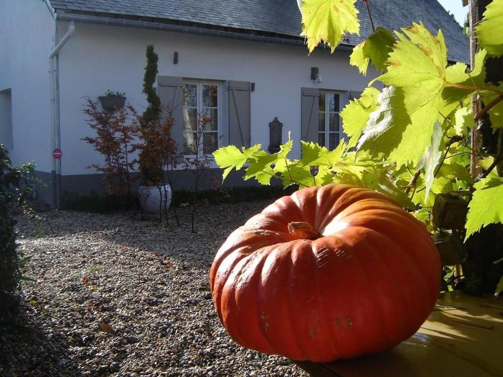 Gite Cottage D'Hamicourt Aux Portes De La Baie De Somme Buitenkant foto
